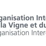 OIV: the Centenary World Congress in Dijon from 14 to 18 October