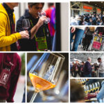 Bologna, from November 23 to 25, the FIVI Independent Winemakers’ Wine Market.